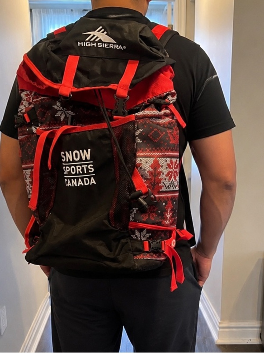 Stylish Red and Black Men's Backpack